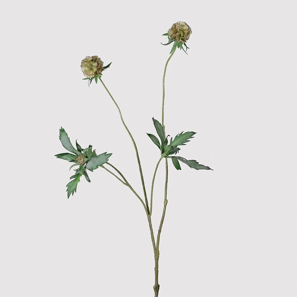 Scabiosa Stellata Spray with Leaves 85cm,dried artificial flower