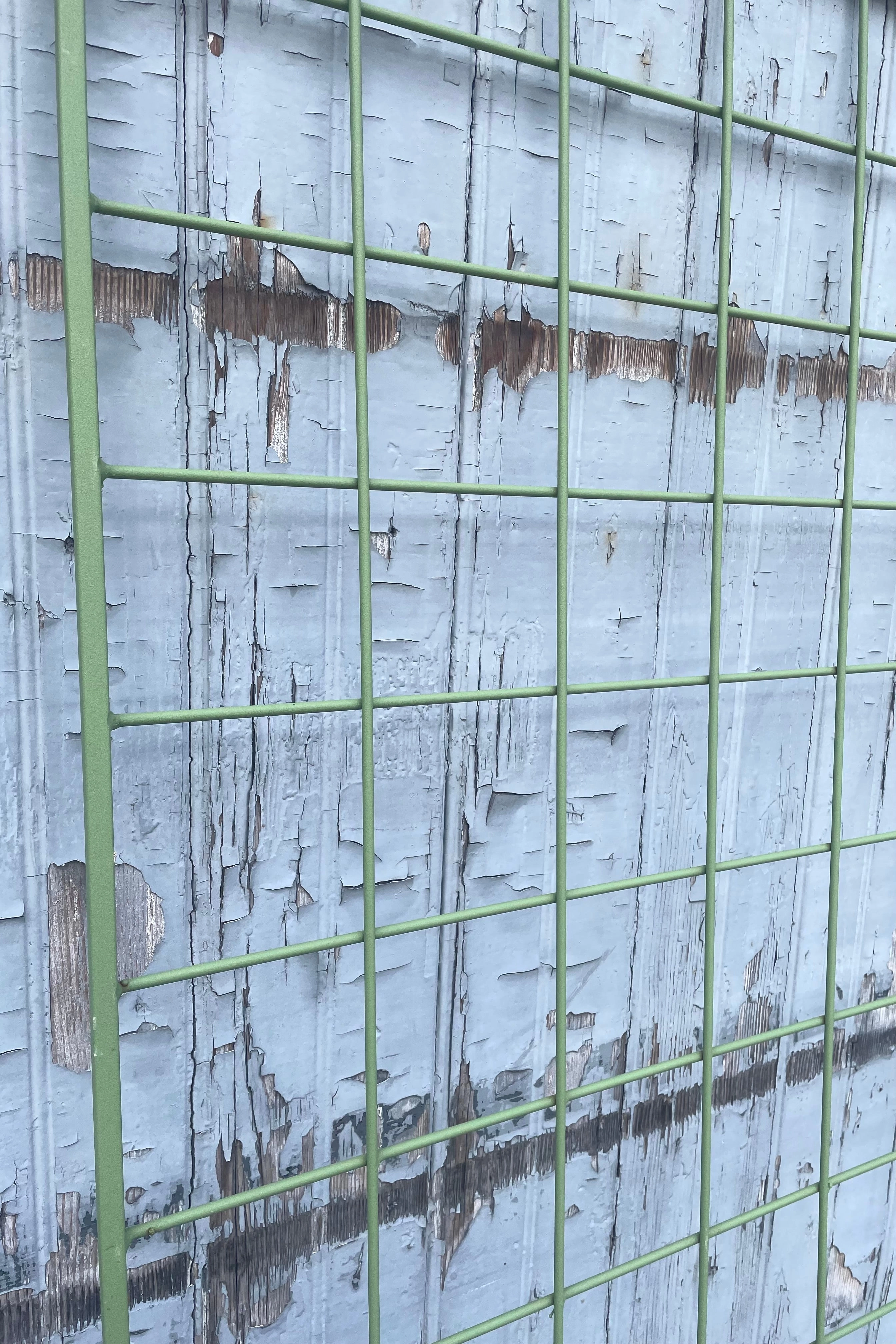 Screen Trellis Wide Romaine