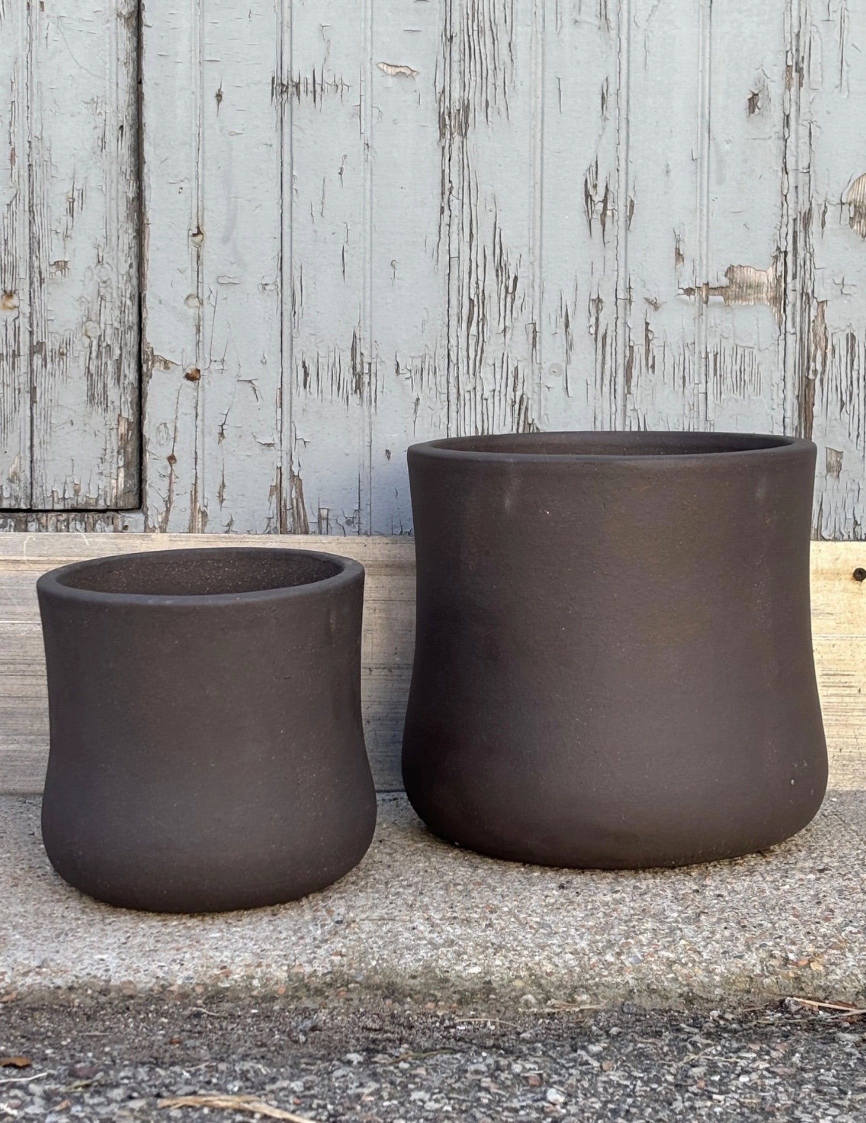 Sea Island Planter Peat medium