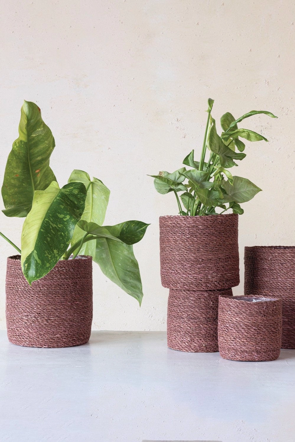 Seagrass Basket with Liner 8.5"