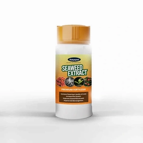 Seaweed Extract (Powder),potted plant decor