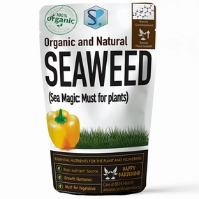 Seaweed Flakes Powder With Essential Micro Nutrients,potted plant decor