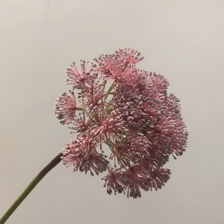 Sedum Artificial Silk Flower SEDUM01-02