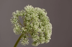 Sedum Artificial Silk Flower SEDUM01-02,dried artificial flower