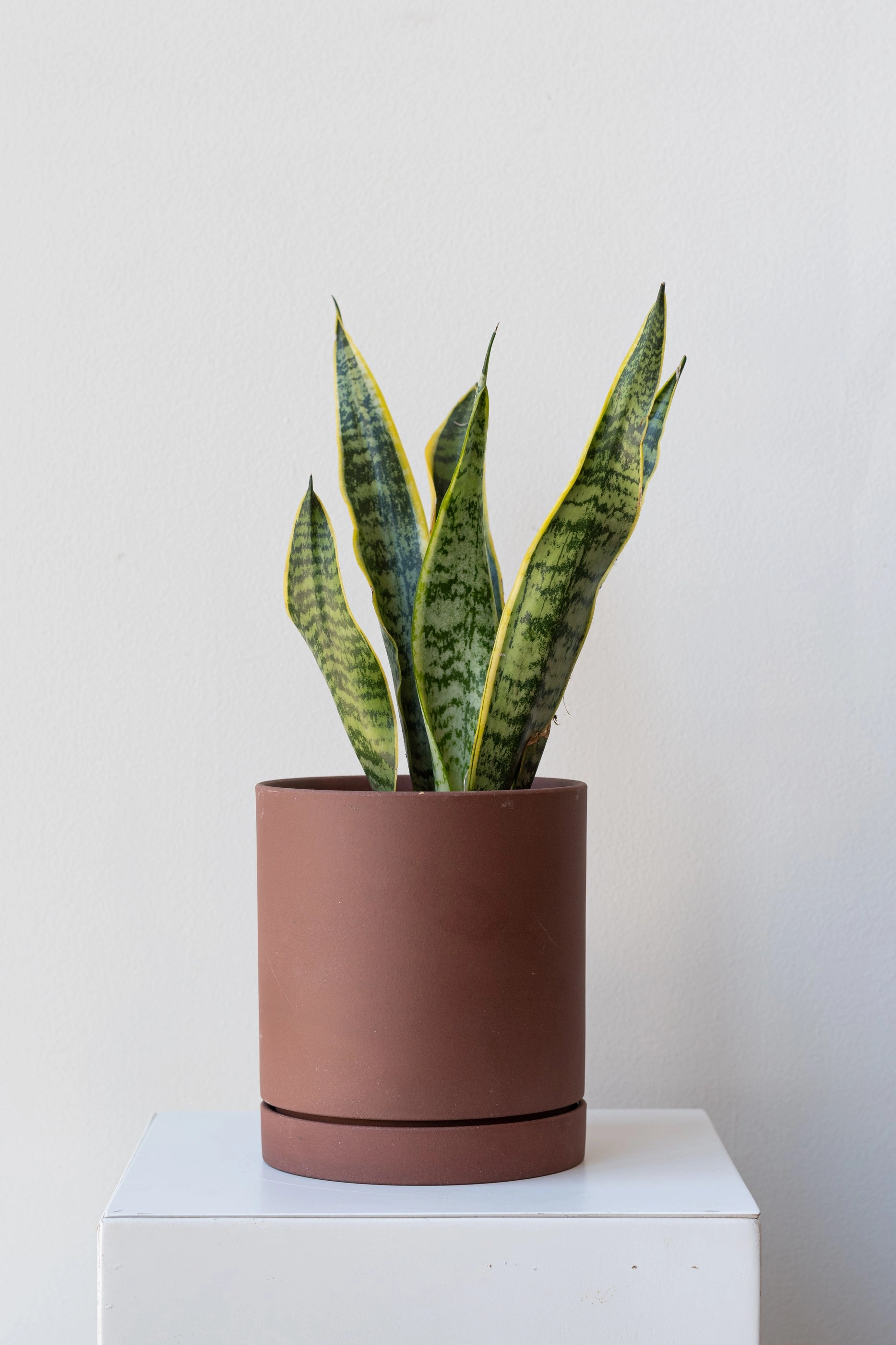 Sekki Pot Rust Medium