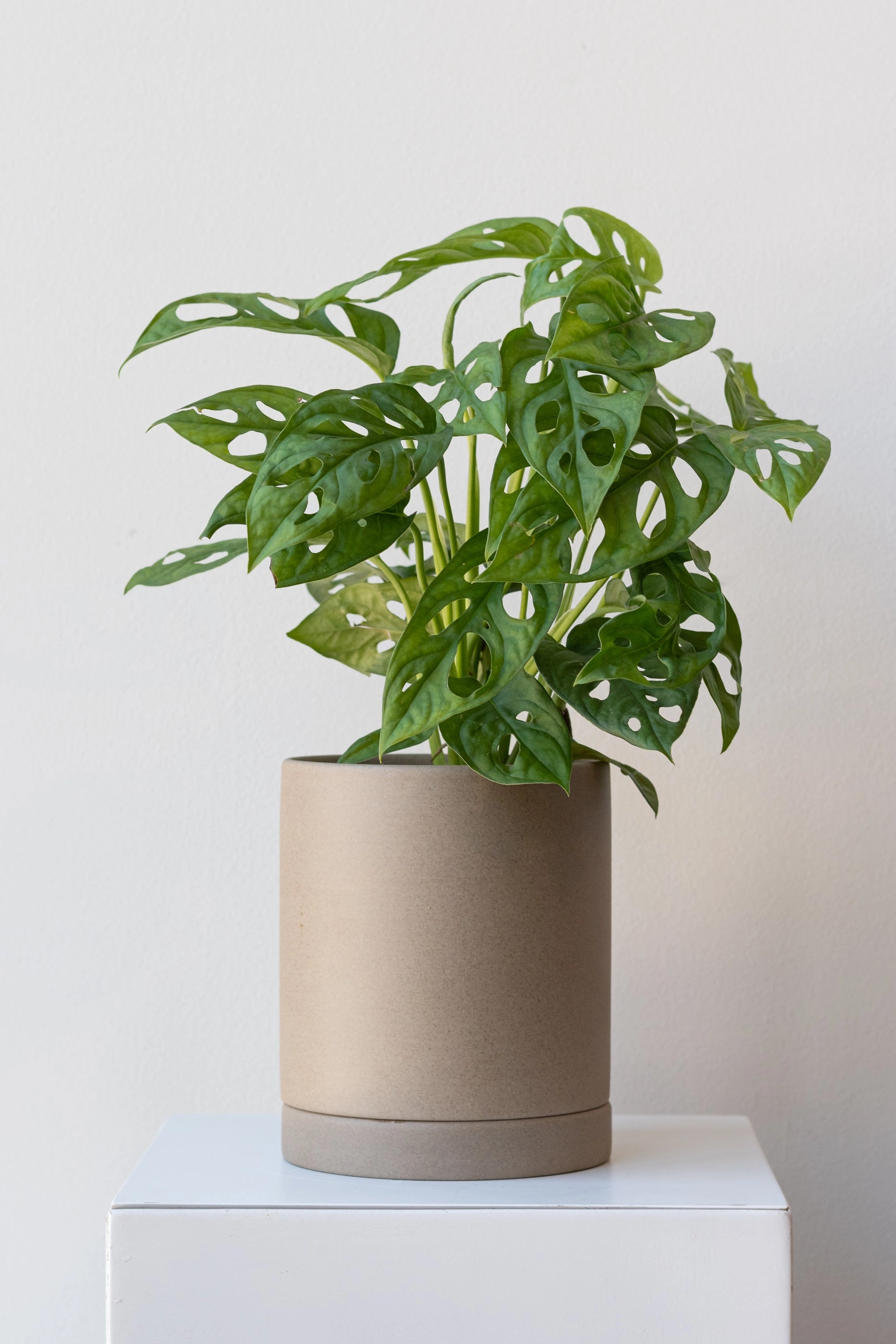 Sekki Pot Sand Medium