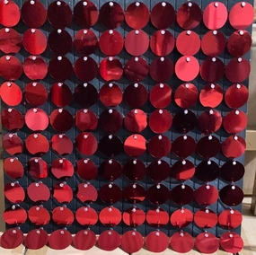 Sequin Backdrop Panel 12x12 red Mat realistic flower bouquet  