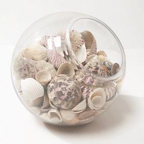 Shell Bowl,hand-painted ceramic vase