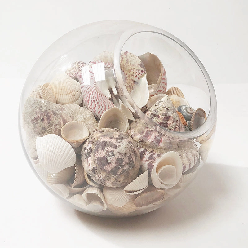 Shell Bowl,hand-painted ceramic vase