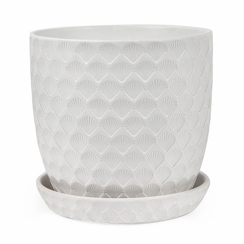 Shell Pot with Saucer - Matte White,terracotta plant pot