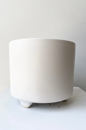 Simon Footed Cachepot Small,indoor flower container