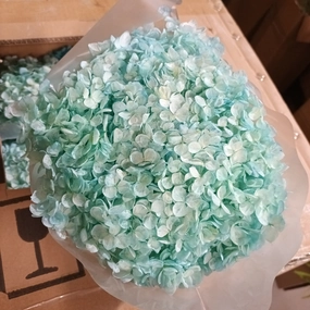 Single stem preserved Anna Hydrangea light torquise realistic flower bouquet  