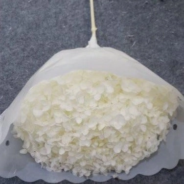 Single stem preserved Anna Hydrangea white/Cream artificial flower bouquet  
