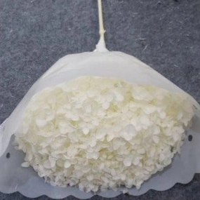 Single stem preserved Anna Hydrangea white/Cream artificial flower bouquet  