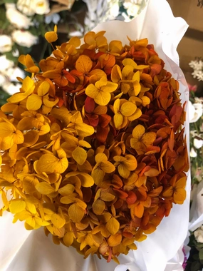 Single stem preserved Hydrangea burnt orange realistic flower bouquet  