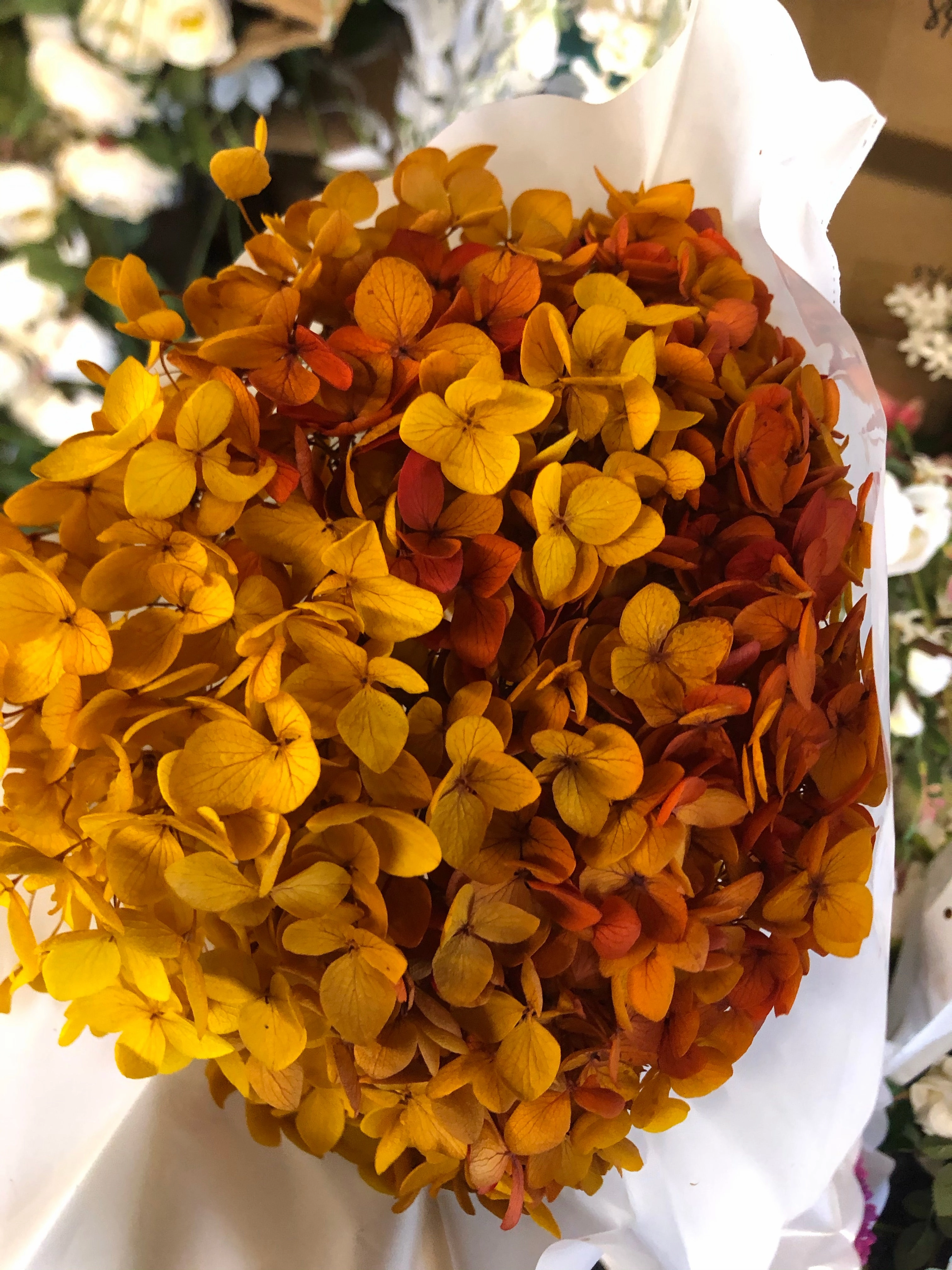 Single stem preserved Hydrangea burnt orange realistic flower bouquet  