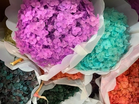 Single stem preserved Hydrangea Green w/ Blue hue realistic flower bouquet  