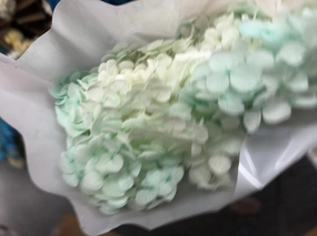 Single stem preserved Hydrangea Tiffany blue realistic flower bouquet  