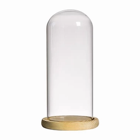 Small Cloche Bell with wood base Beauty And Beast,aesthetic flower vase
