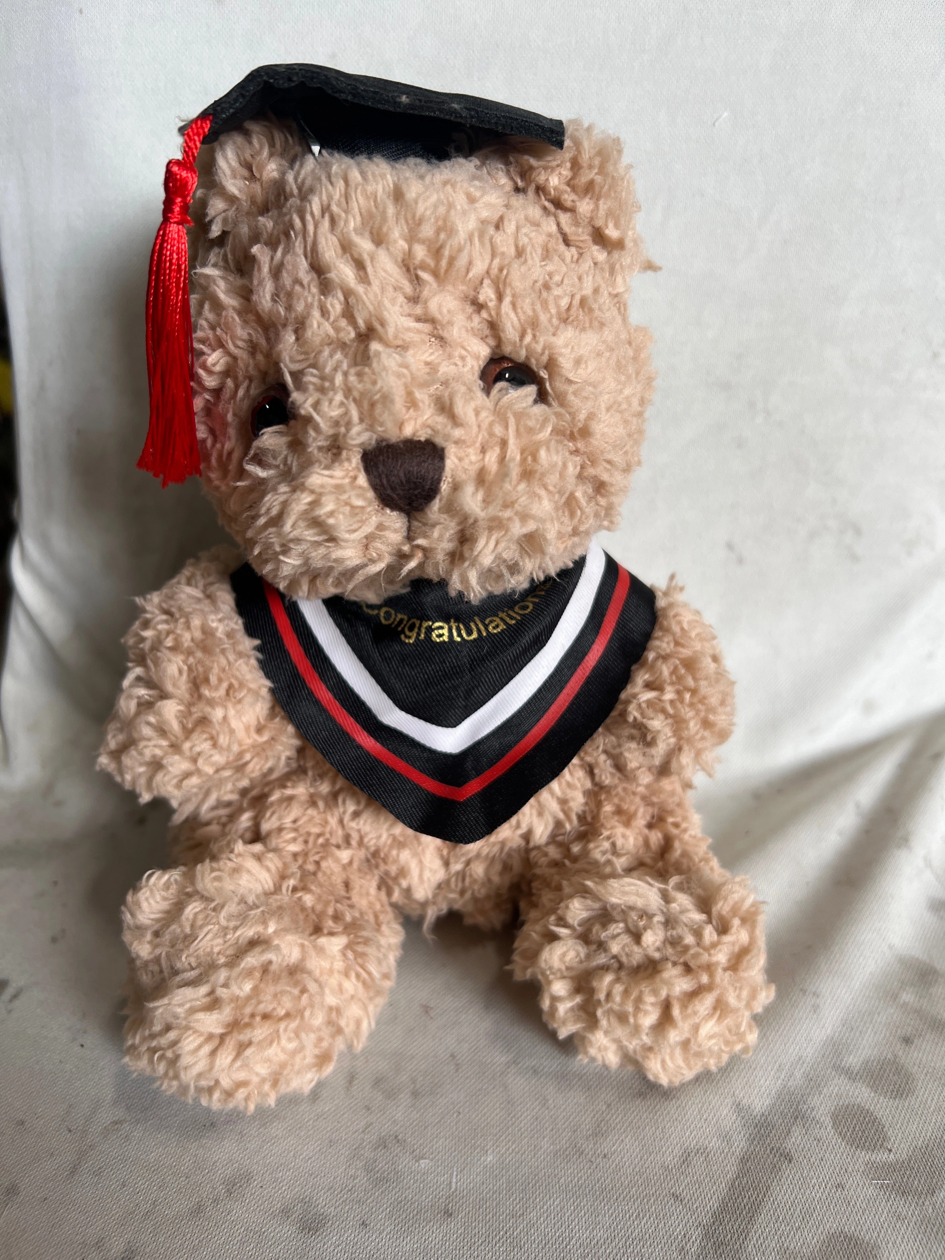 Small Graduation  Bear