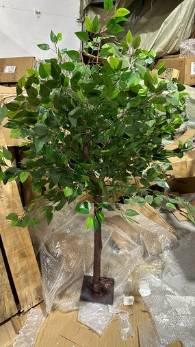 Small Green leaf Ficus Tree realistic flower bouquet  