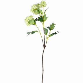 Snowball Viburnum Lime 80cm,dried artificial flower
