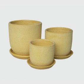 Soho Indoor Mustard,terracotta plant pot
