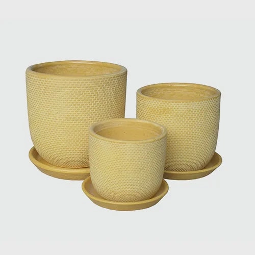 Soho Indoor Mustard,terracotta plant pot