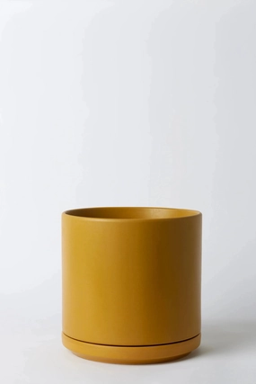 Solid Goods 10" Cylinder w/ Saucer Mustard,indoor flower container