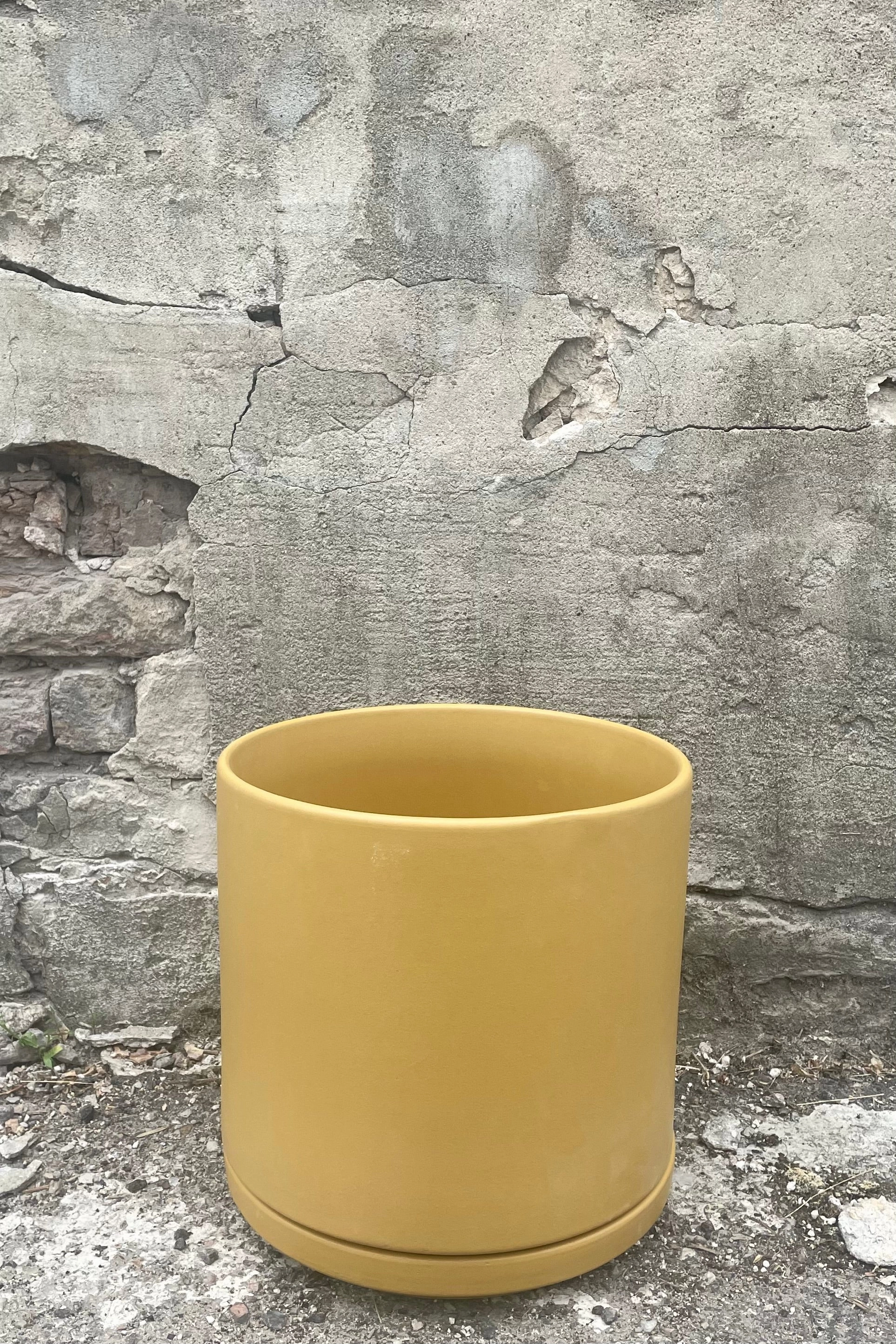 Solid Goods 10" Cylinder w/ Saucer Mustard