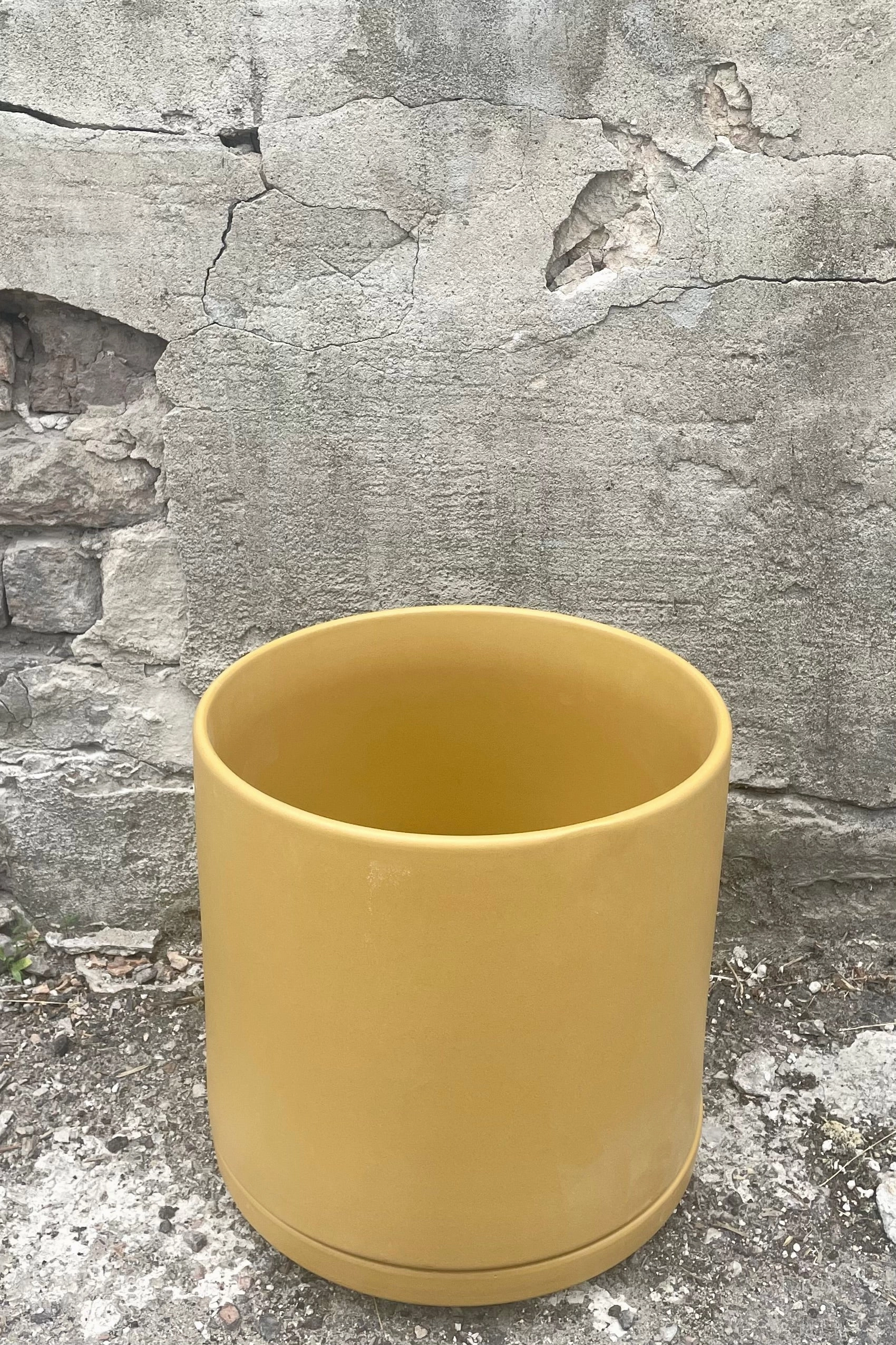 Solid Goods 10" Cylinder w/ Saucer Mustard