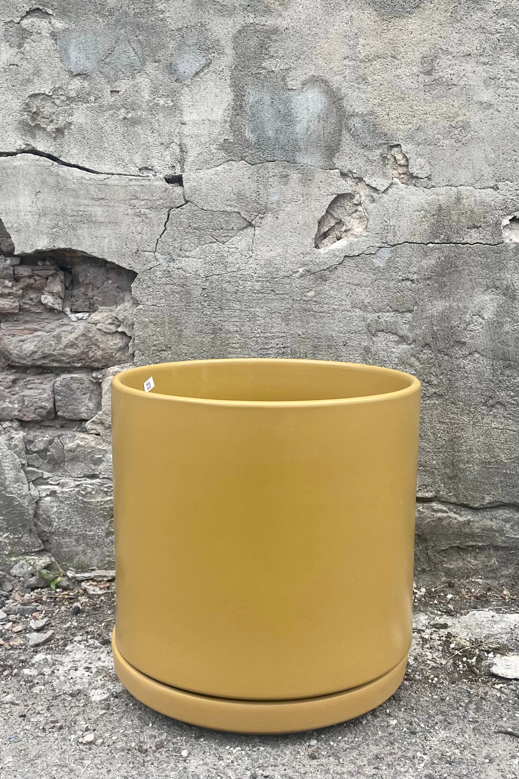 Solid Goods 12" Cylinder w/ Saucer Mustard