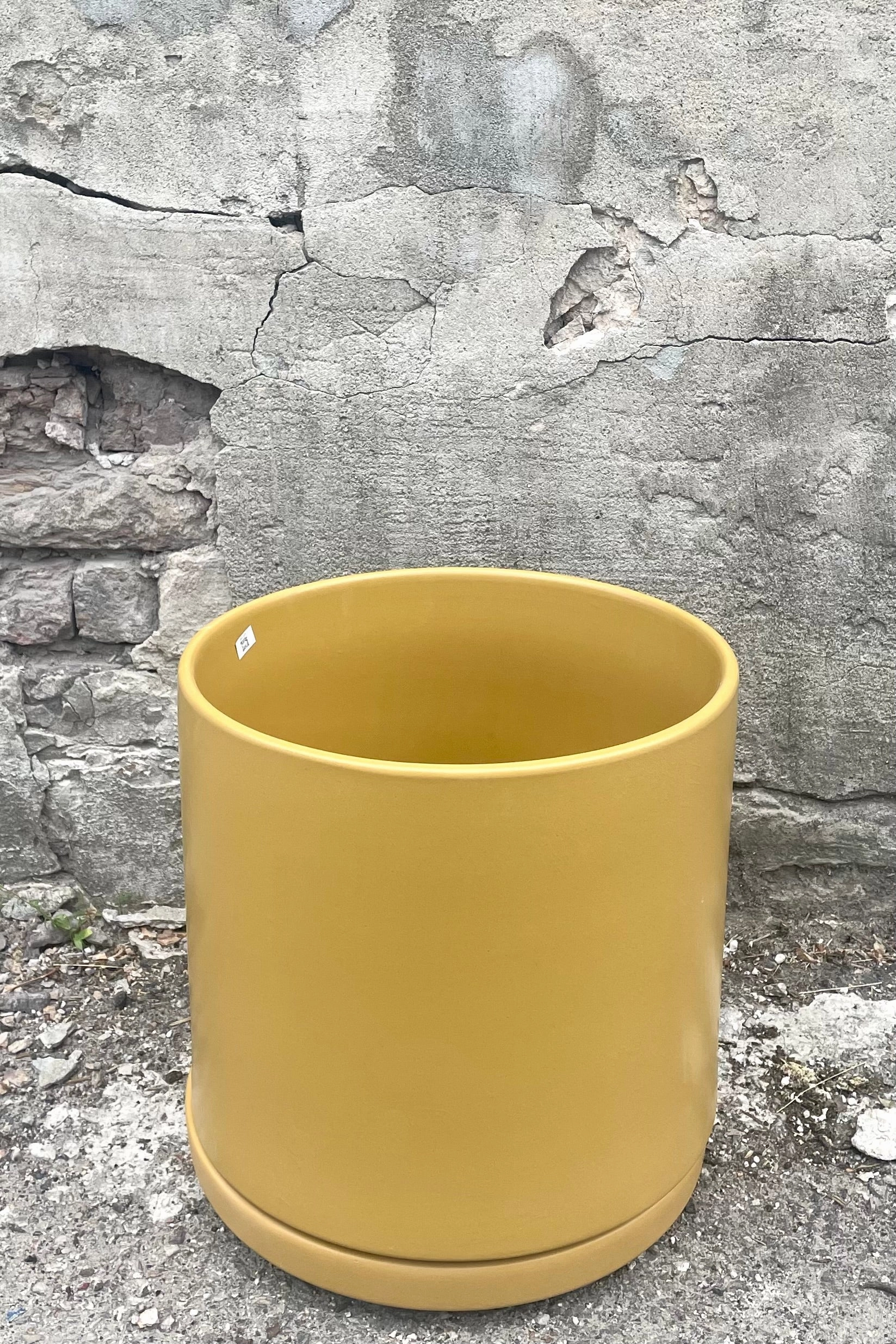 Solid Goods 12" Cylinder w/ Saucer Mustard