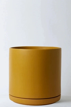 Solid Goods 16" Cylinder w/ Saucer Mustard,indoor flower container