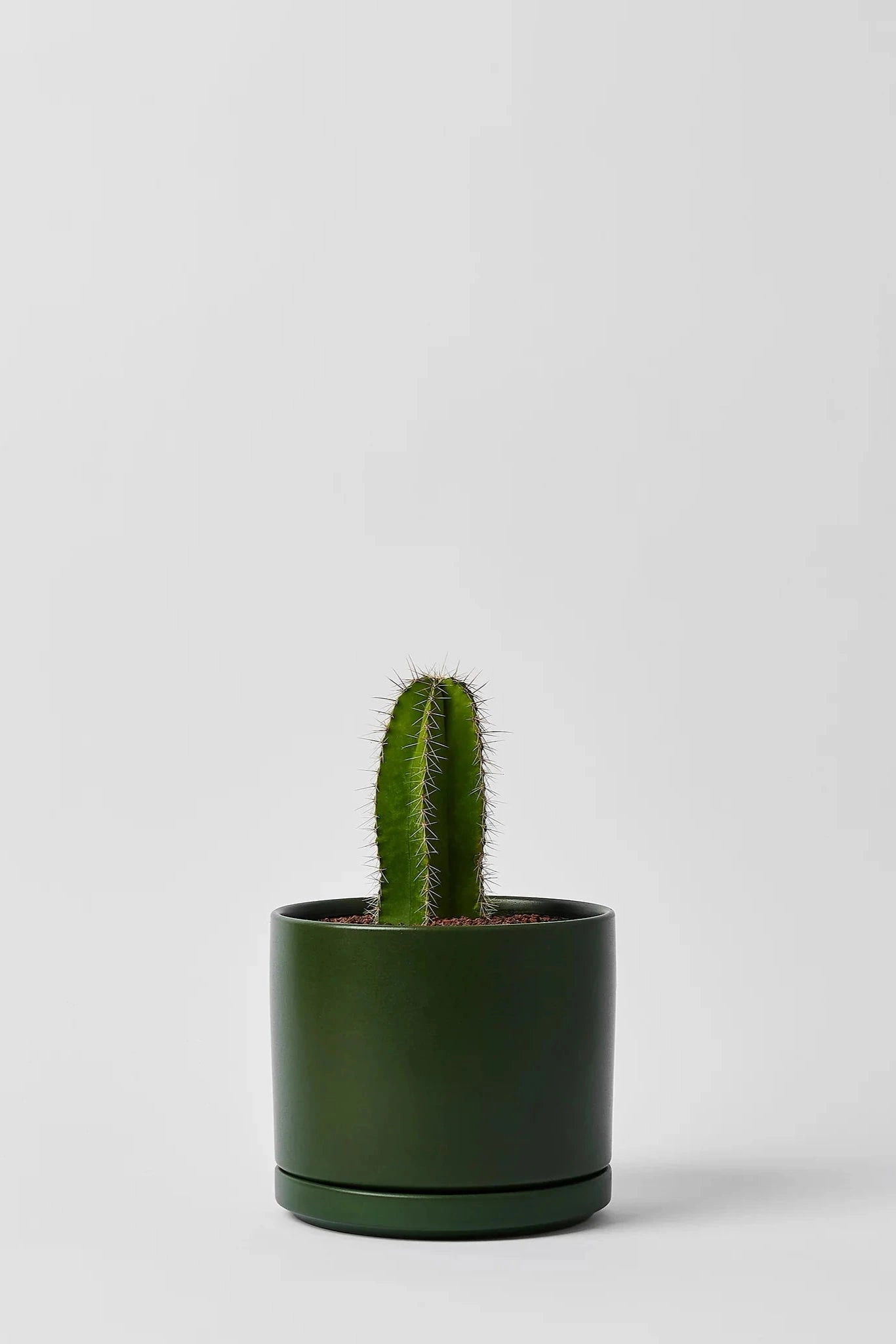 Solid Goods 6" Cylinder w/ Saucer Forest Green