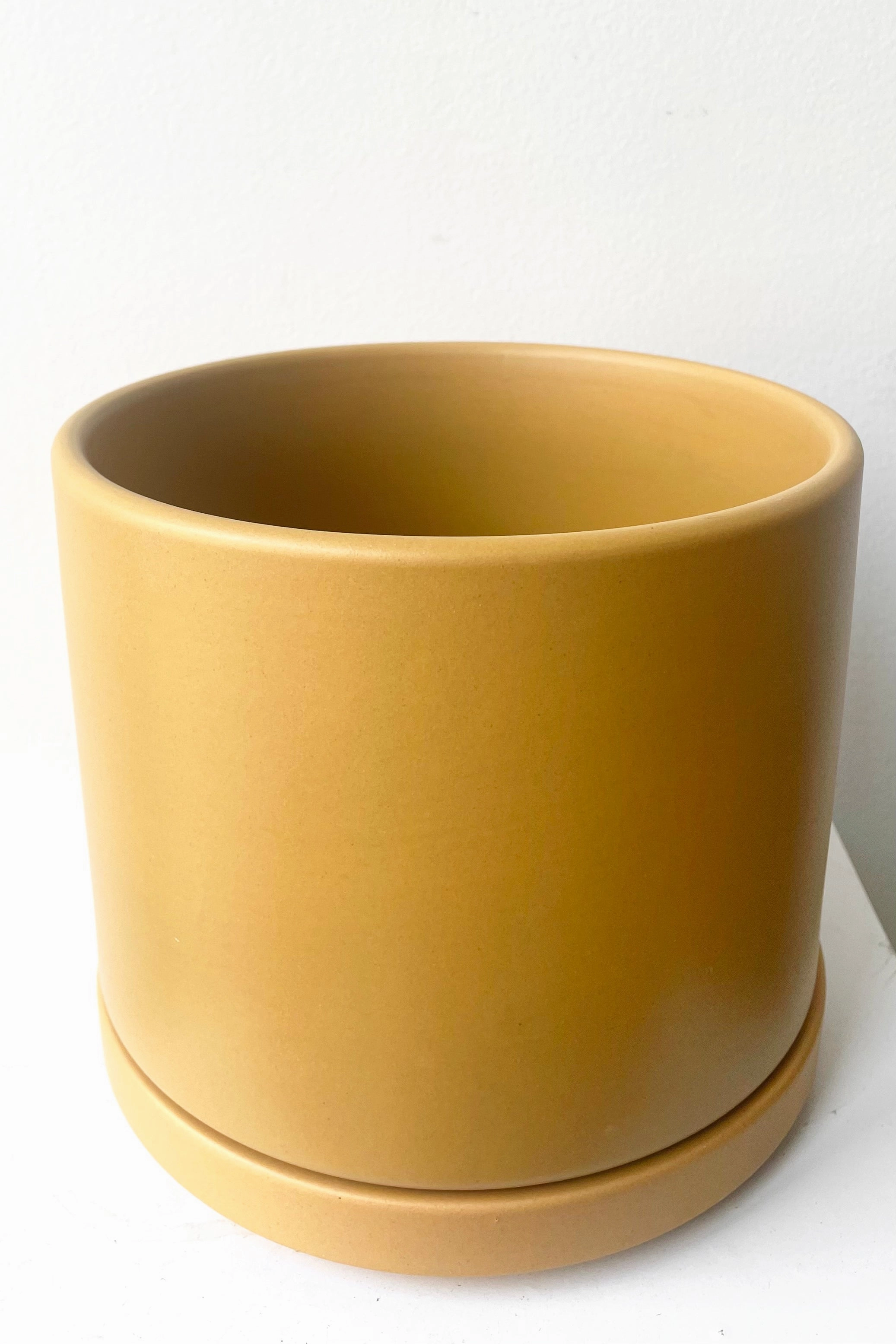 Solid Goods 6" Cylinder w/ Saucer Mustard