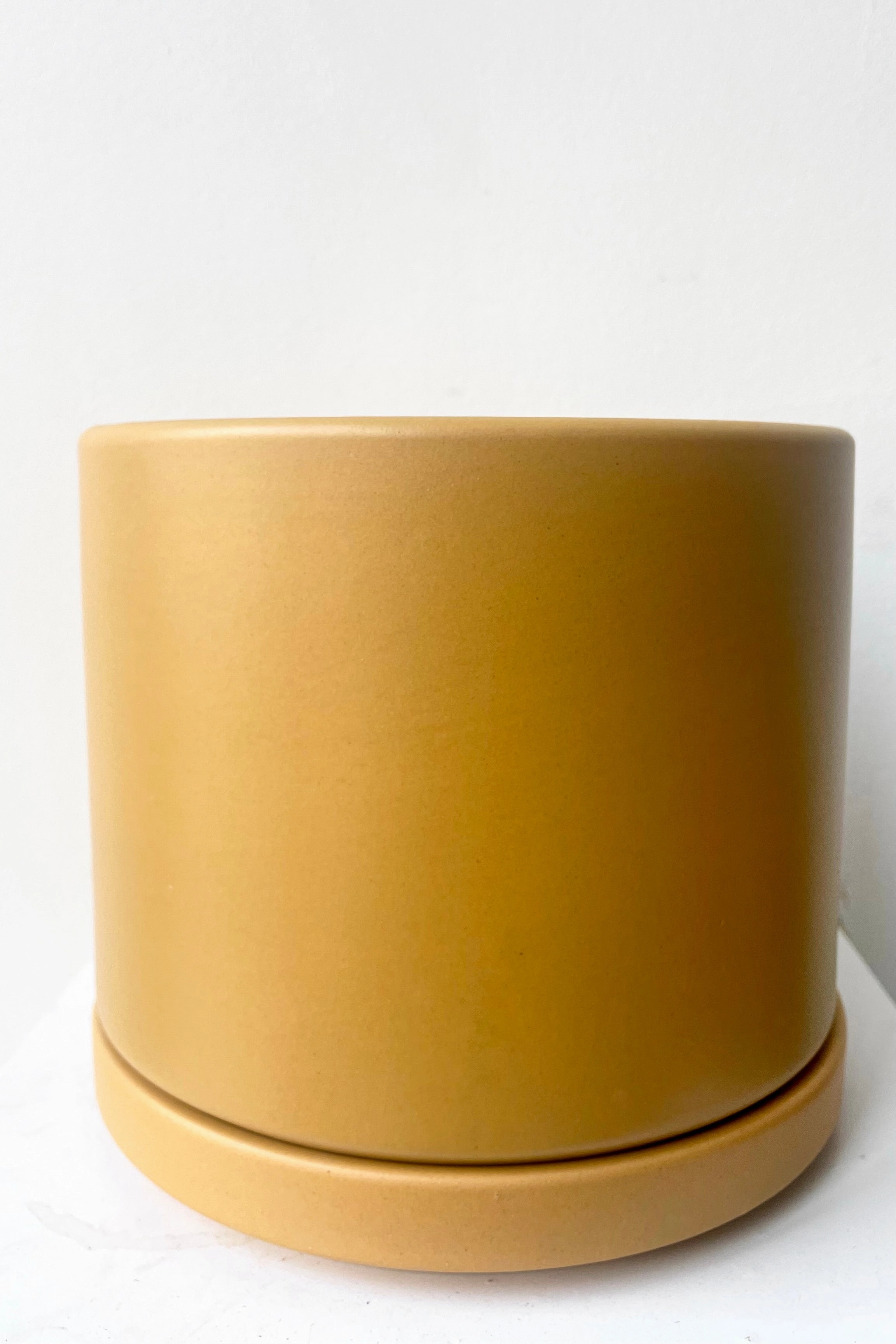 Solid Goods 6" Cylinder w/ Saucer Mustard,indoor flower container