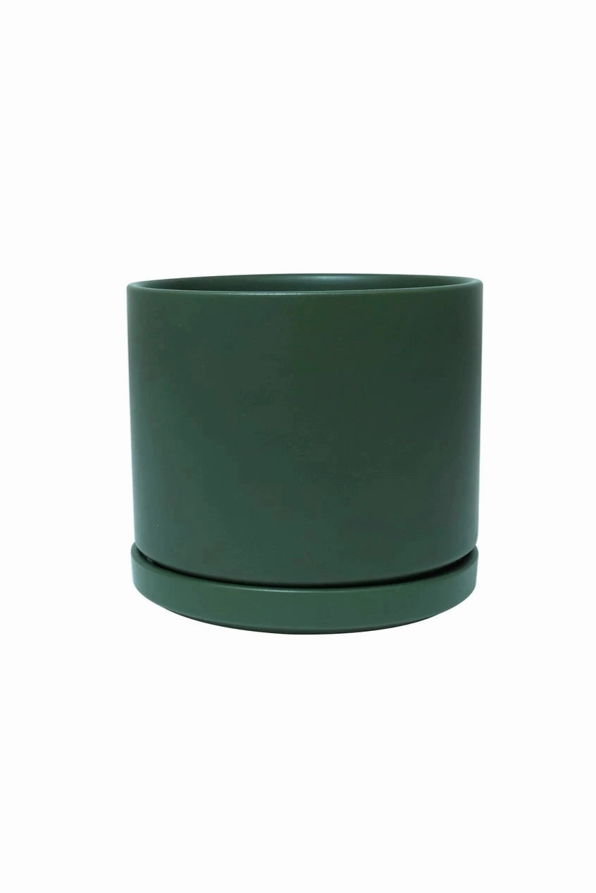 Solid Goods 8" Cylinder w/ Saucer Forest Green,indoor flower container