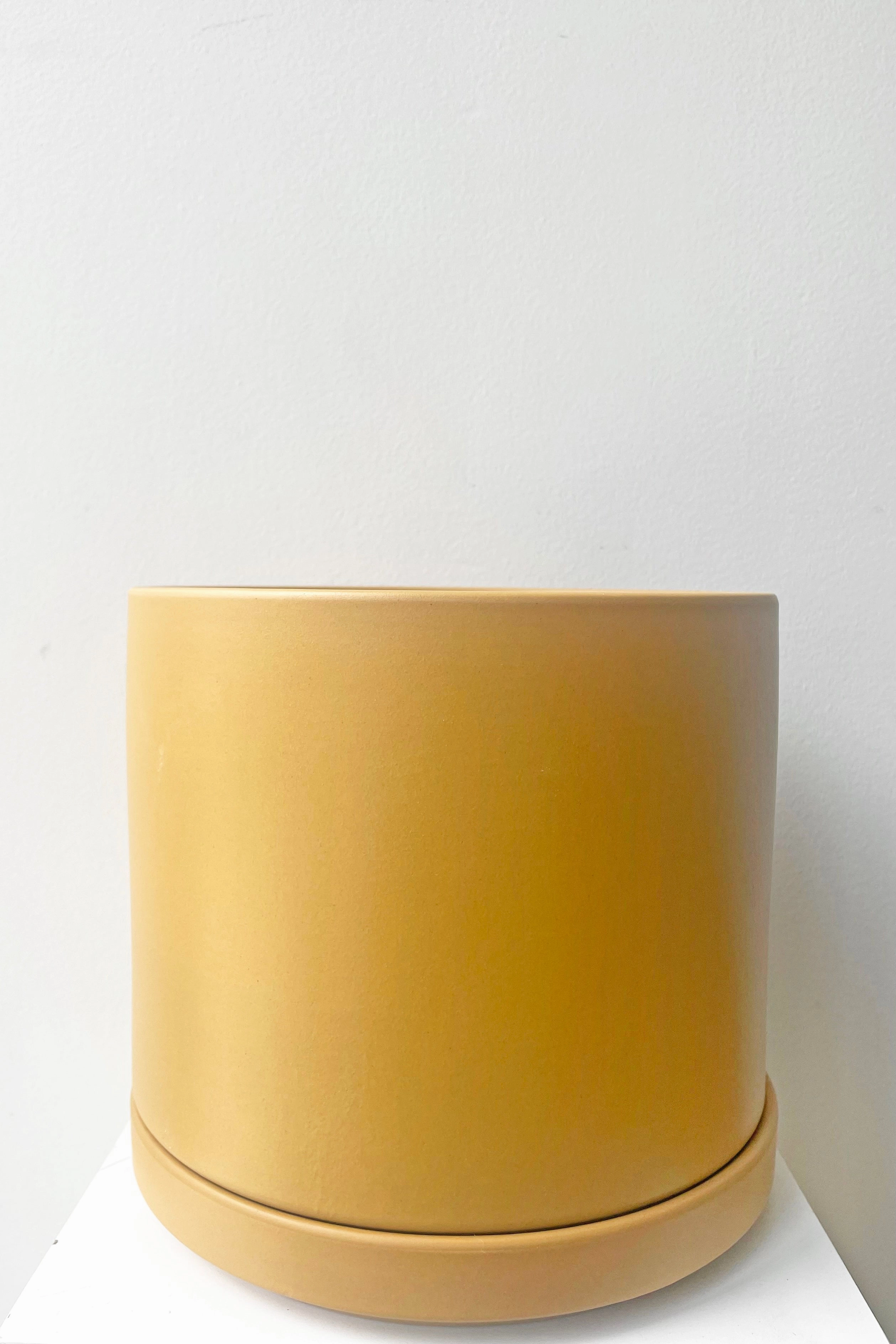 Solid Goods 8" Cylinder w/ Saucer Mustard