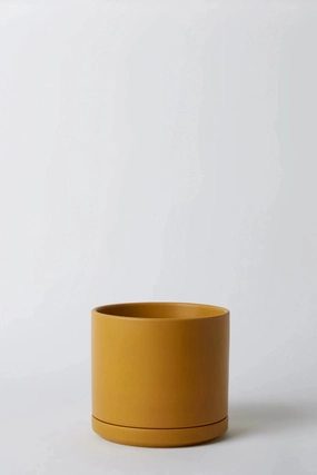 Solid Goods 8" Cylinder w/ Saucer Mustard,indoor flower container