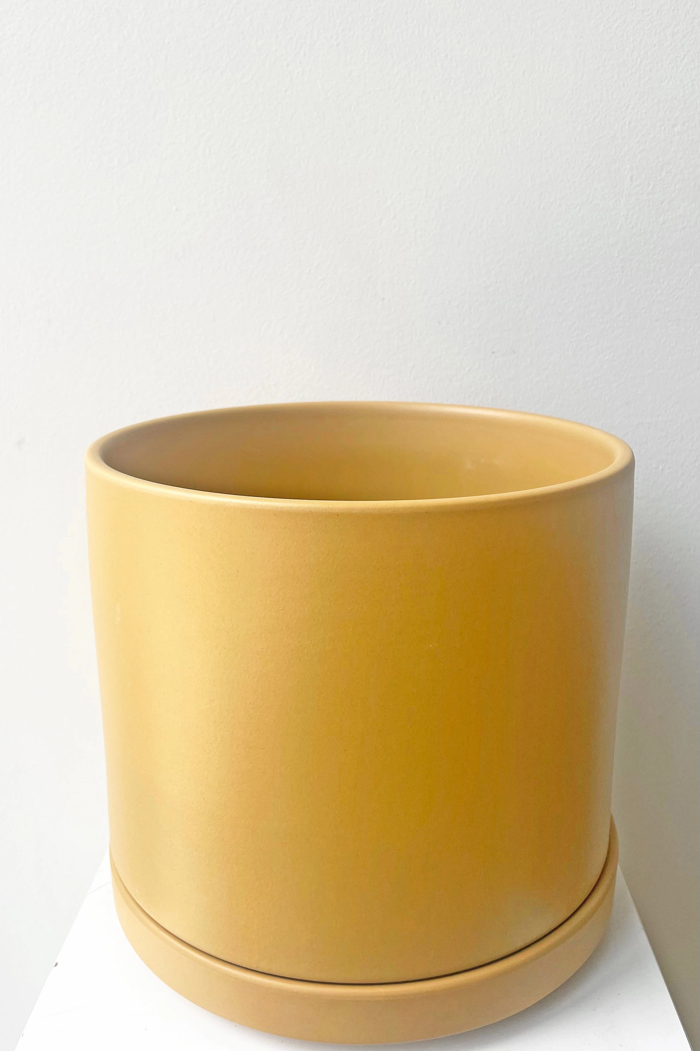 Solid Goods 8" Cylinder w/ Saucer Mustard