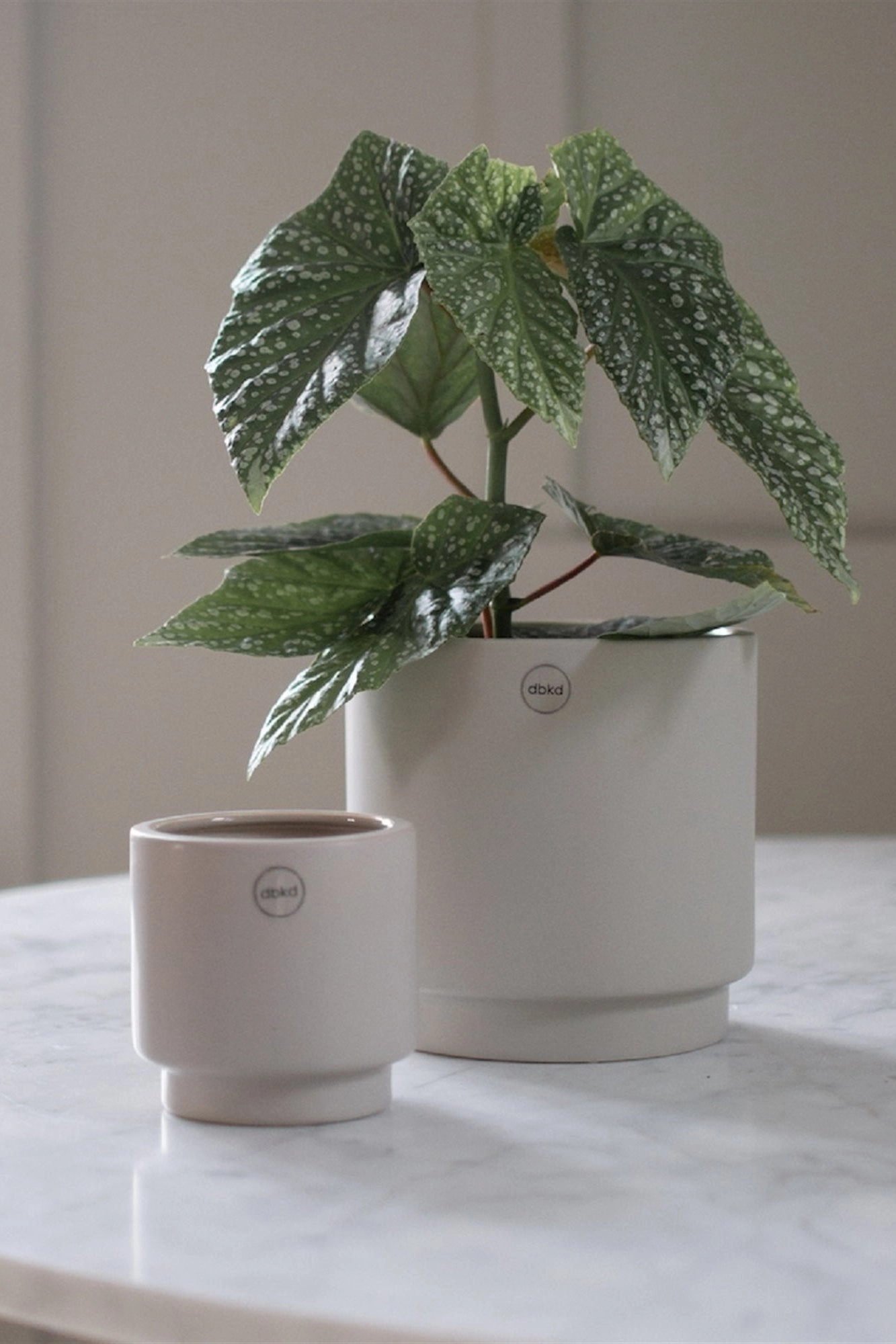 Solid Mole Pot Small,indoor flower container