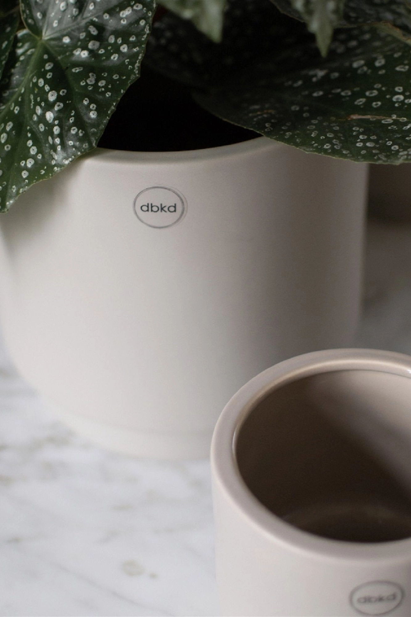 Solid Mole Pot Small