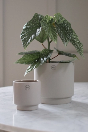 Solid Mole Pot Small,indoor flower container