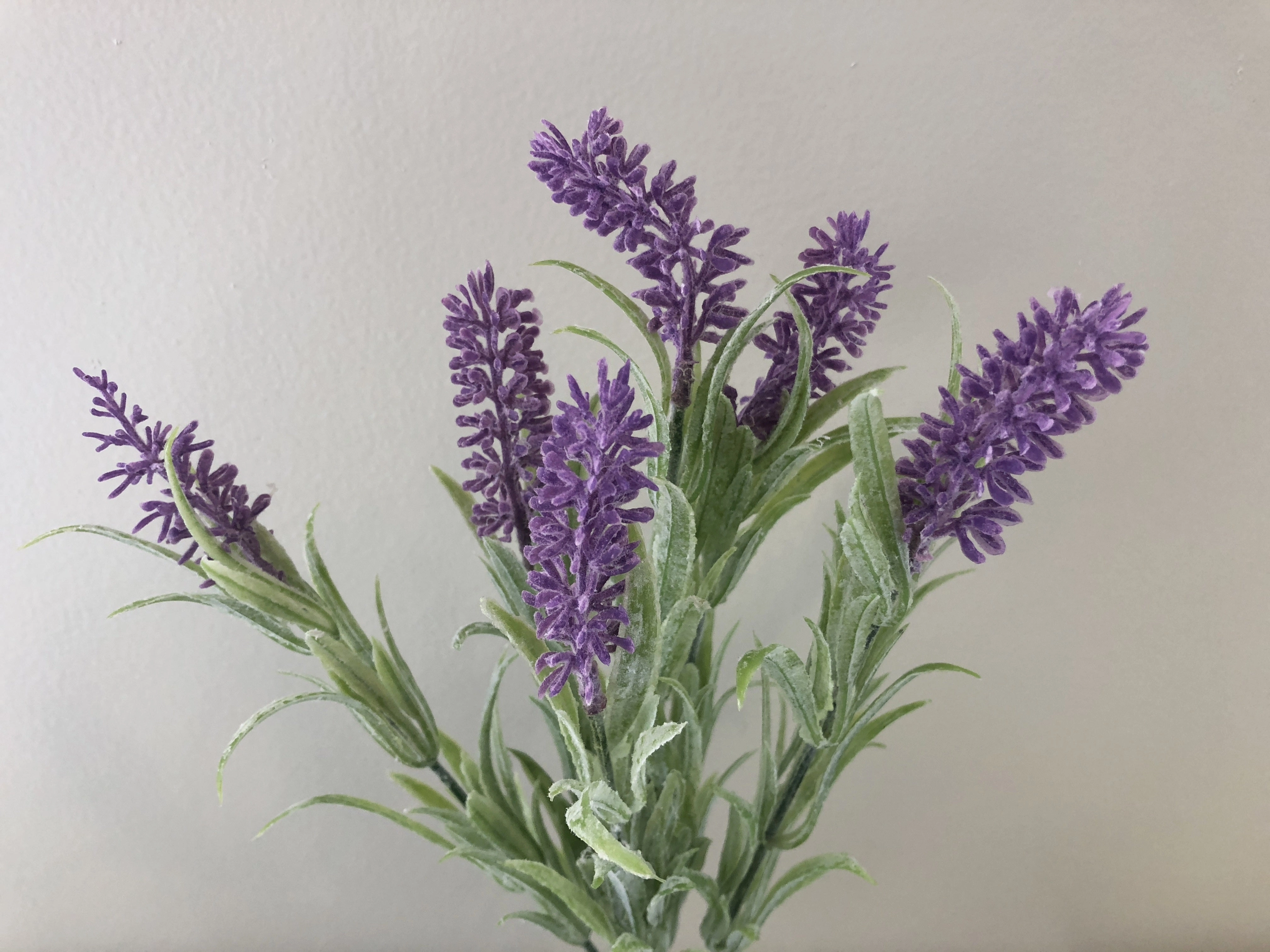 SP0092 Lavender Bunch 32cm Purple