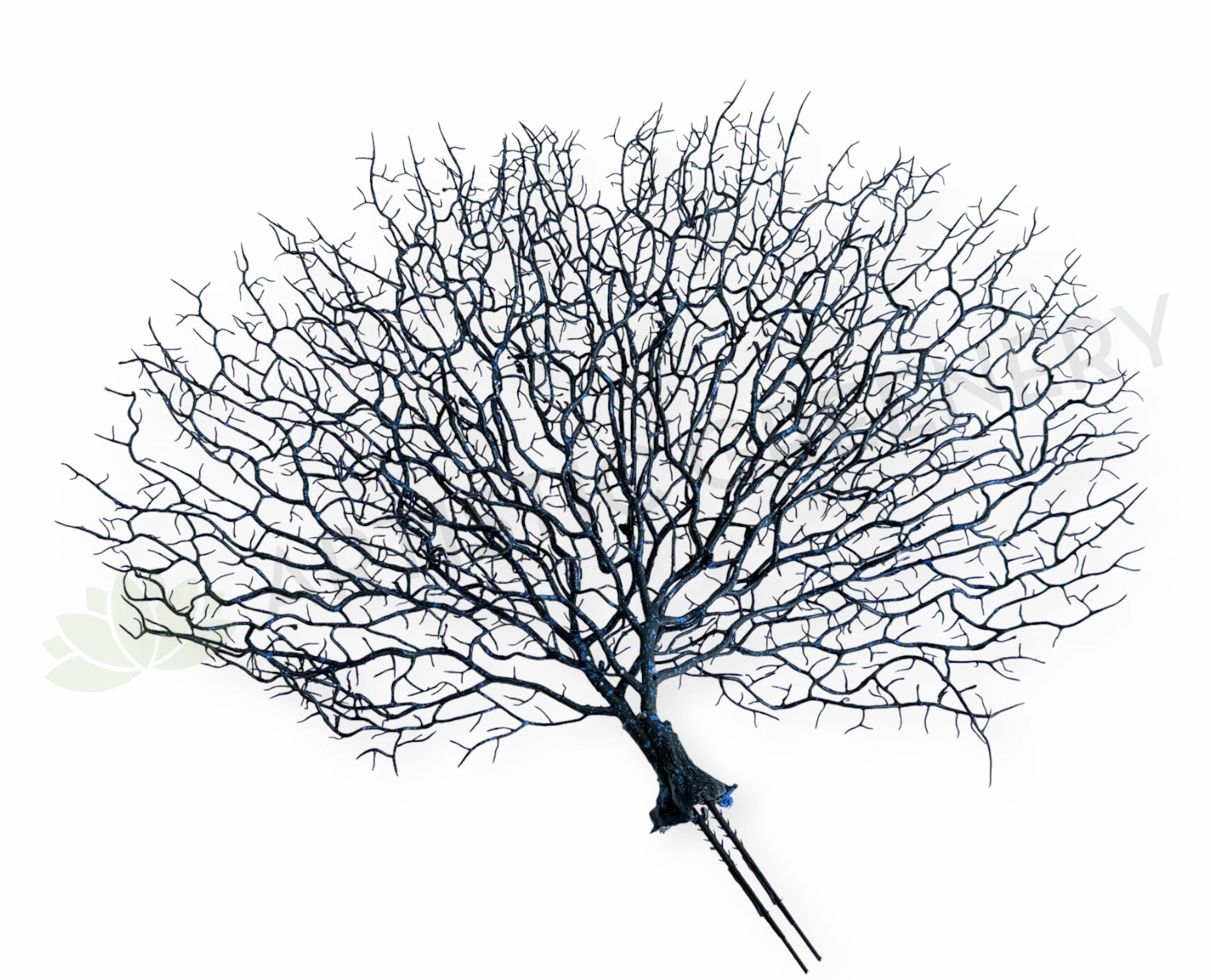 SP0149-S93 Coral Reef Plant Black 50cm (W) x 45cm (H),garden field mower