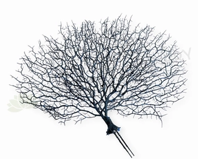 SP0149-S93 Coral Reef Plant Black 50cm (W) x 45cm (H),garden field mower
