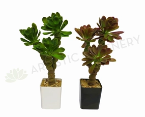 SP0150 Succulent Plant in Plastic Pot 55cm 2 Styles,garden field mower