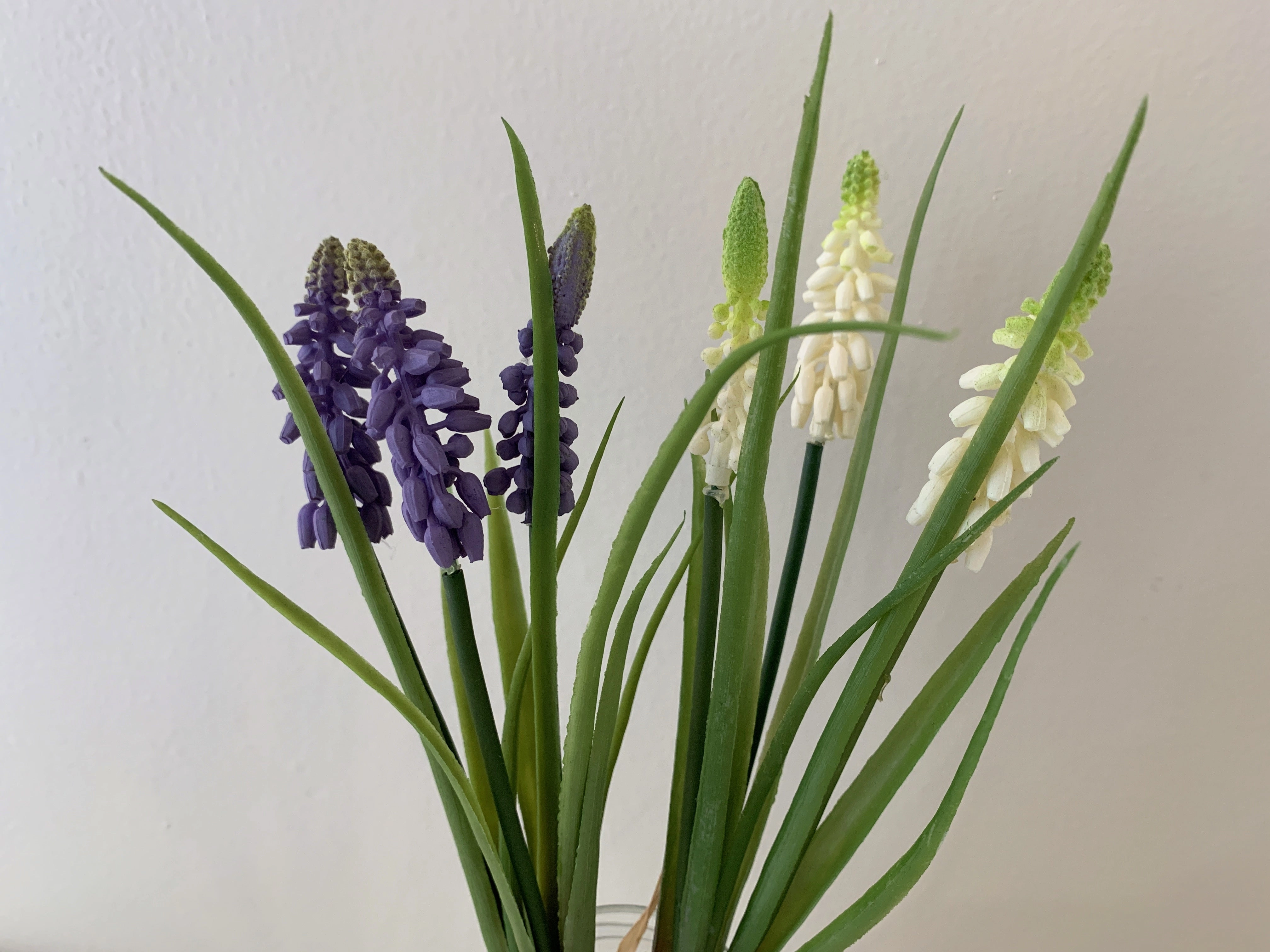 SP0320 Muscari 29cm Purple & White