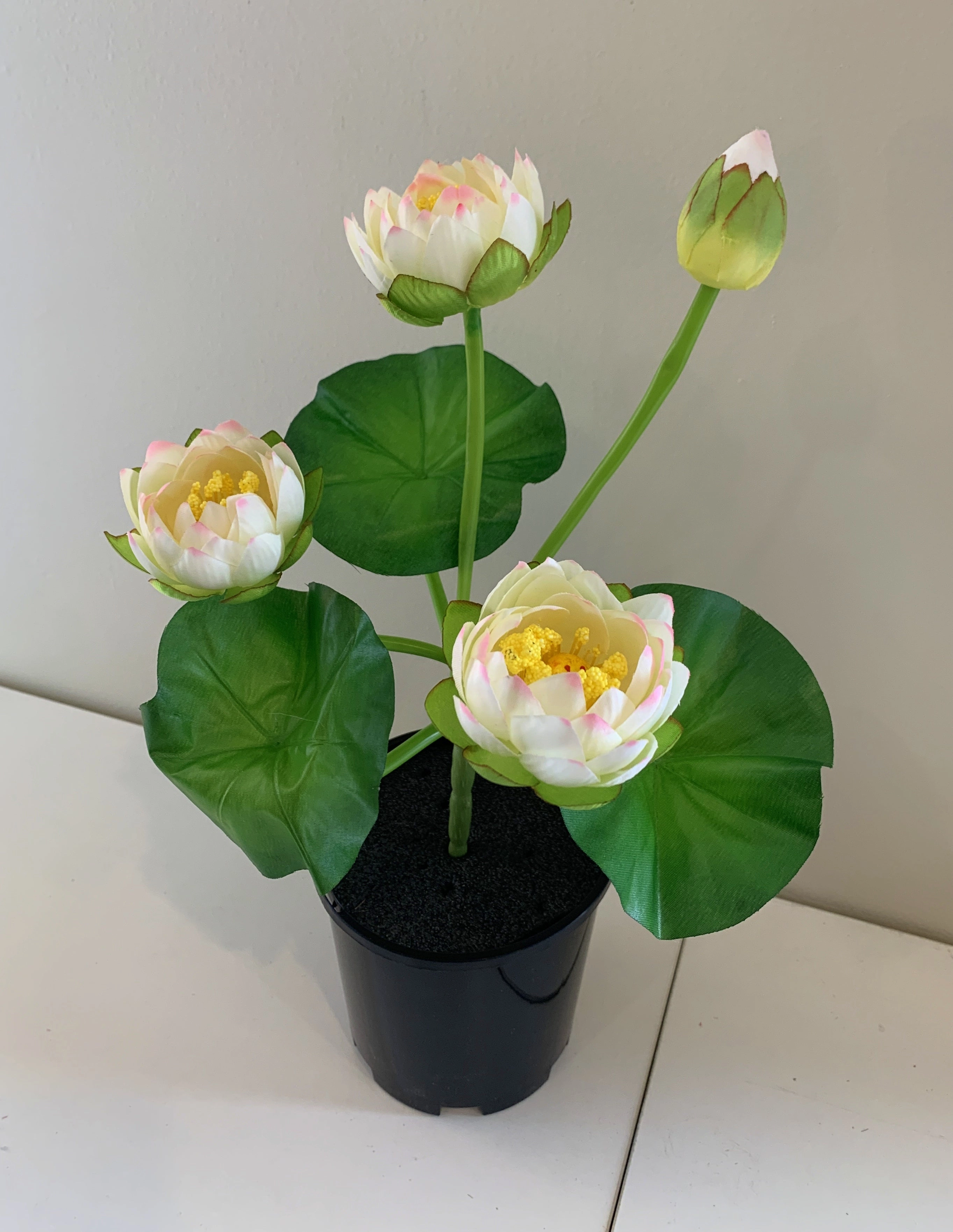 SP0348 Water Lily  / Lotus Flower Bunch 38cm 5 Colours